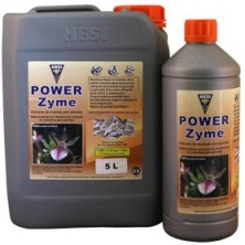 Botes Power Zyme