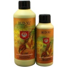 Botellas de Bud XL