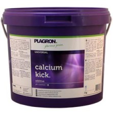 Cubo de Calcium Kick de Plagron