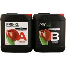 Bloom A+B Floración Pro XL - 5 litros