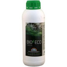 Bio Eco Calcio