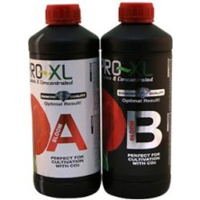 Bloom A+B Floración Pro XL - 1 litro