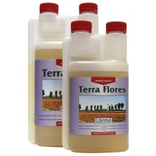 Bote terra flores