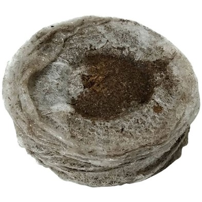 Jiffy7 de turba 33mm