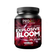 Explosive Bloom Pro XL