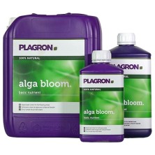 Alga Bloom