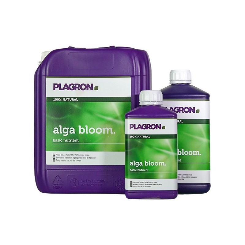 Alga Bloom