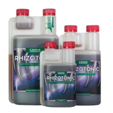 Rhizotonic