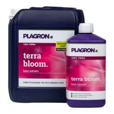 Terra Bloom grupo