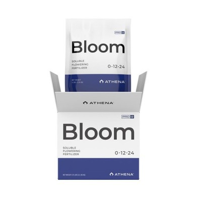 Athena Pro Bloom