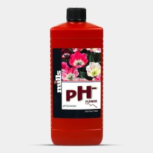 Ph- Flower