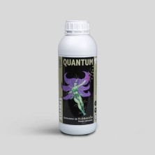 Quantum ÁDamas