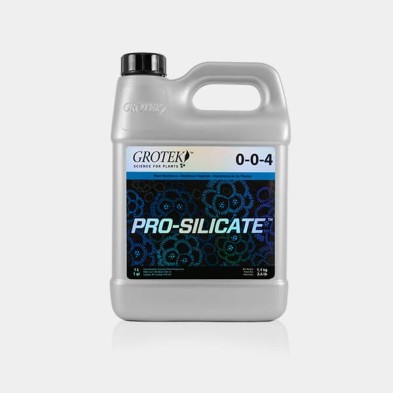 Pro-Silicate 1