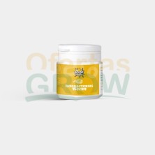 Rizobacterias Boom 50g