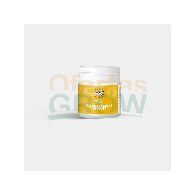 Rizobacterias Boom 50g